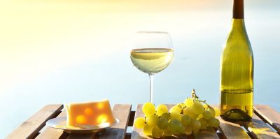 yth游艇会树脂绽放生物发酵领域技术应用魅力