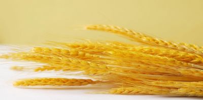 yth游艇会小讲堂——淀粉糖精制知识