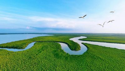 天蓝水碧入画来，yth游艇会绘就美丽中国生态底色