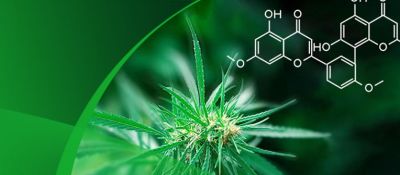 yth游艇会植物提取精制、去除农残专用树脂的应用小秘诀